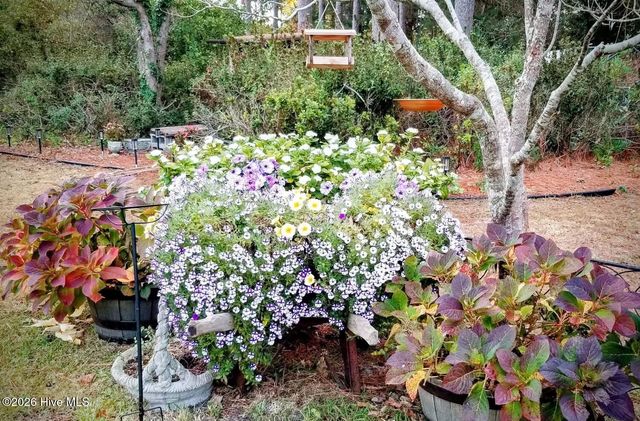 2639 Nc Highway 211, Clarkton, NC 28433