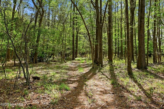 2639 Nc Highway 211, Clarkton, NC 28433