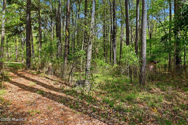 2639 Nc Highway 211, Clarkton, NC 28433