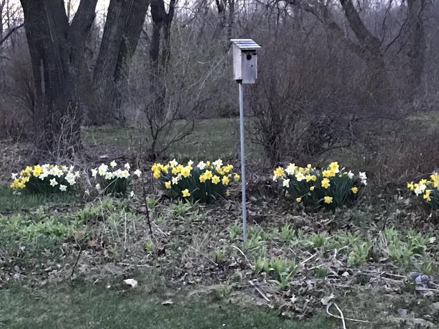 3795 Gala Way, Cottage Grove, WI 53527