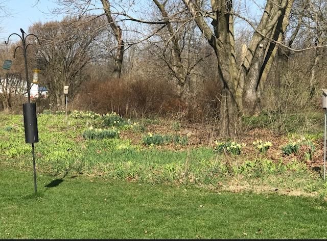 3795 Gala Way, Cottage Grove, WI 53527