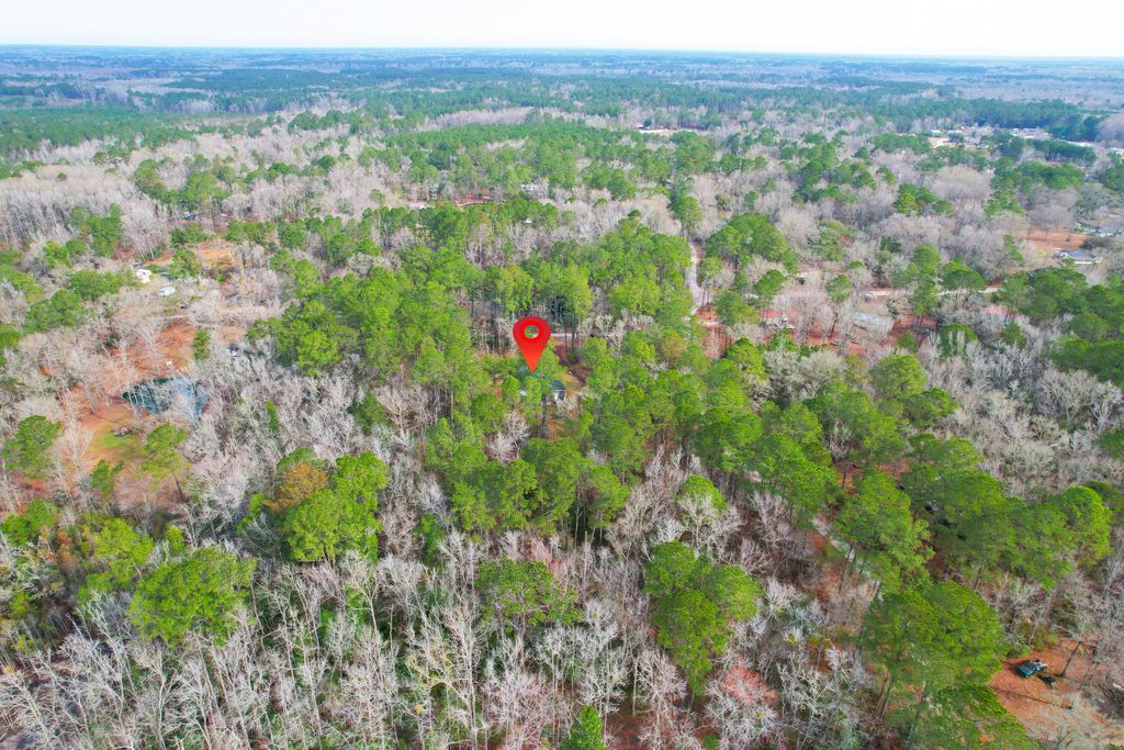 Image 45 of property listing at 35 Dalmation Court, Round O, SC 29474