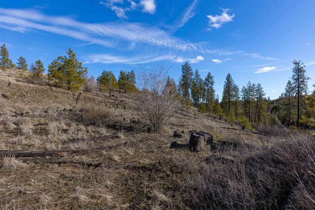 NKA N Gordon Rd, Spokane, WA 99224