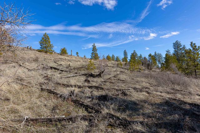 NKA N Gordon Rd, Spokane, WA 99224