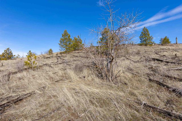 NKA N Gordon Rd, Spokane, WA 99224