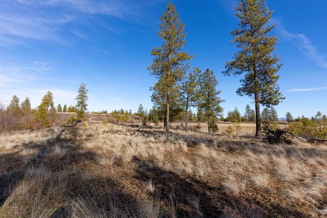 NKA N Gordon Rd, Spokane, WA 99224