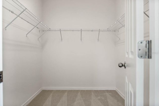 5806 SPOTTED HARRIER WAY, Lithia, FL 33547