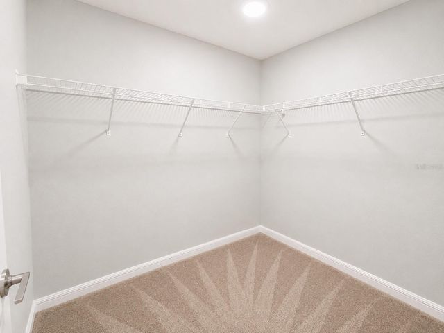 17696 NECTAR FLUME DRIVE, Land O Lakes, FL 34638