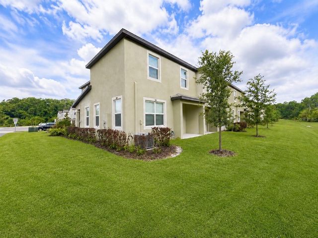 17696 NECTAR FLUME DRIVE, Land O Lakes, FL 34638