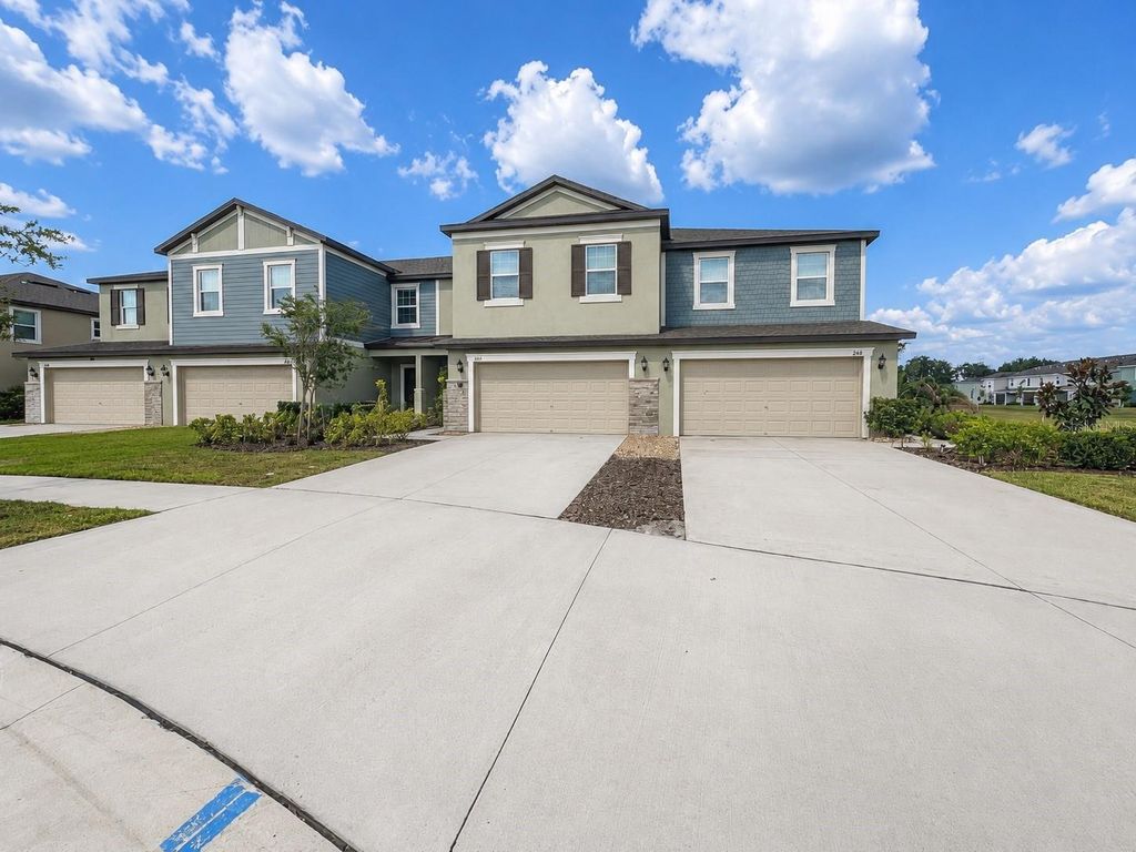 17696 NECTAR FLUME DRIVE, Land O Lakes, FL 34638