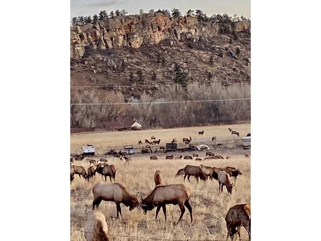 7239 W County Road 24, Loveland, CO 80538