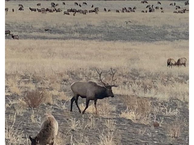 7239 W County Road 24, Loveland, CO 80538