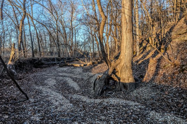 221 Simpson Road, Urbana, MO 65767