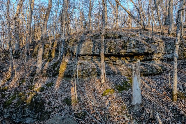 221 Simpson Road, Urbana, MO 65767