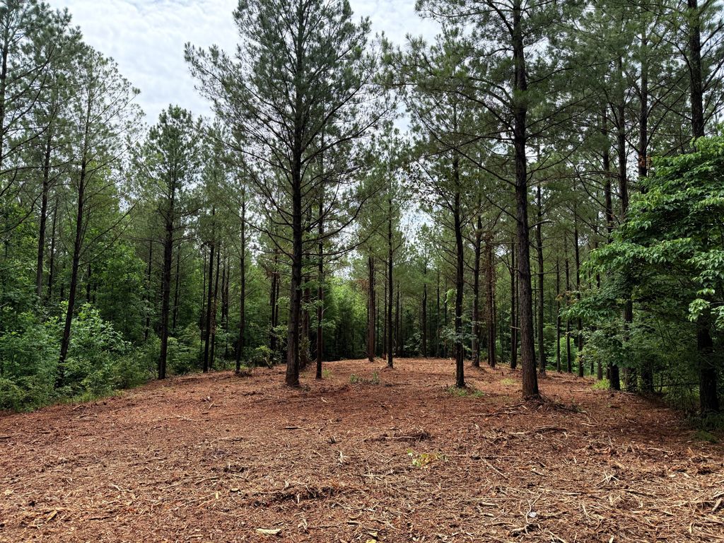 0 Spokelay Rd, Spencer, TN 38585