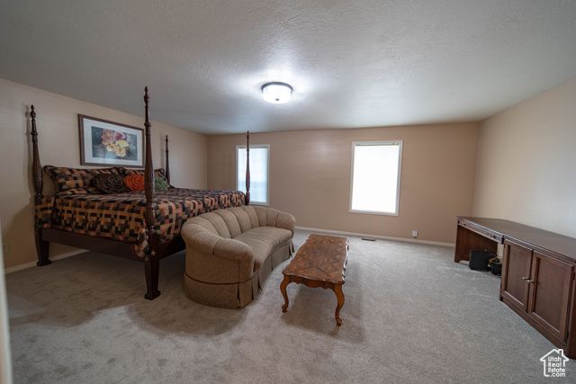 1416 W VALLEY VIEW DR, Wellington, UT 84542