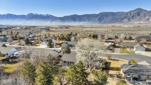 2639 Wildrye Court, Minden, NV 89423