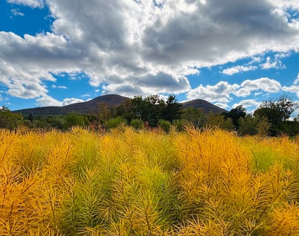 520 State Road 402, North Adams, MA 01247