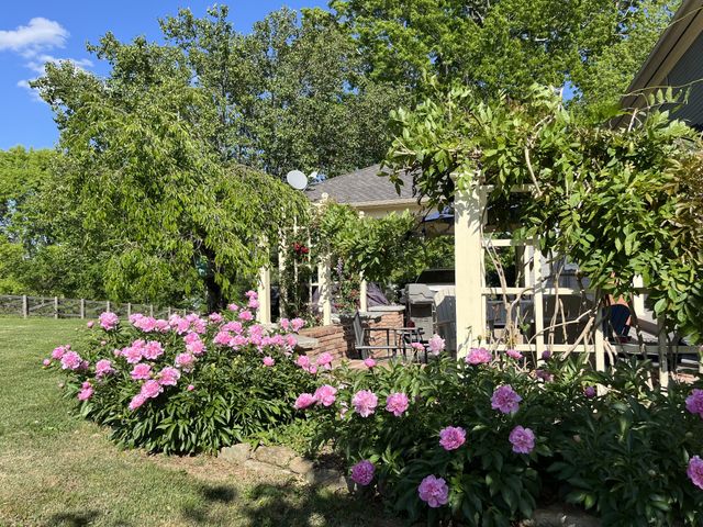 118 Lynnville Rd, Cornersville, TN 37047