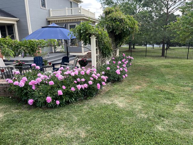118 Lynnville Rd, Cornersville, TN 37047