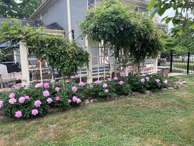 118 Lynnville Rd, Cornersville, TN 37047