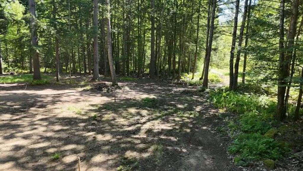 Lot 5-1 Patterson Road, Mechanic Falls, ME 04256 — photo 5