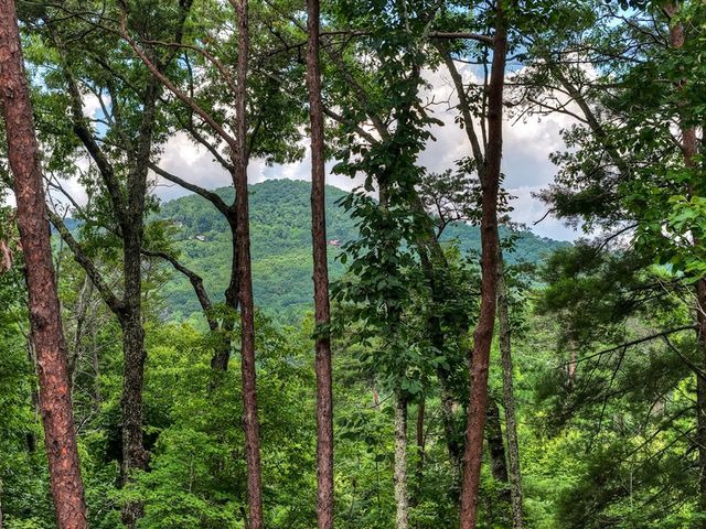 120 Green Ridge Road, Blue Ridge, GA 30513