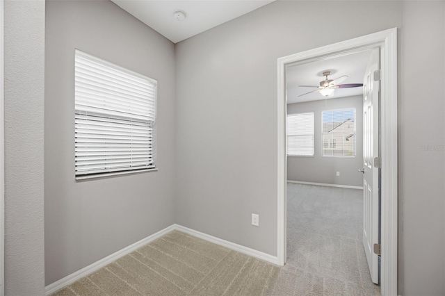 4905 WANDERING WAY, Wesley Chapel, FL 33544