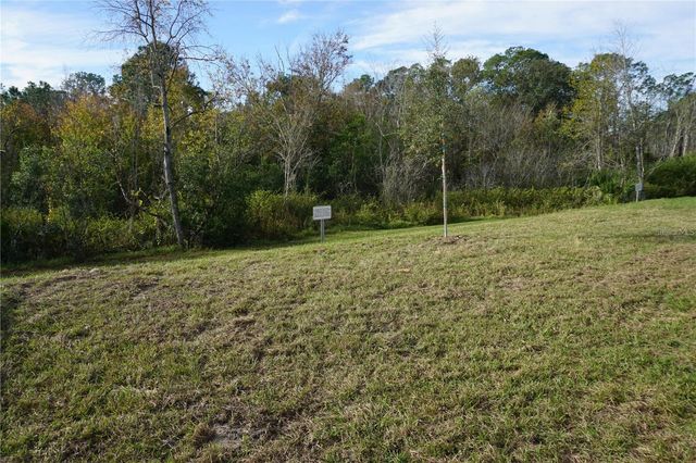 1538 BLUE LAGOON CIRCLE, Mascotte, FL 34753