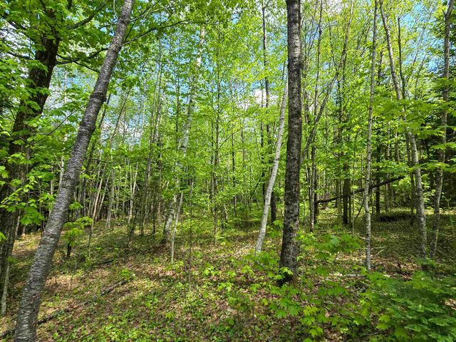 990 Daniels West Road, Albany, VT 05820