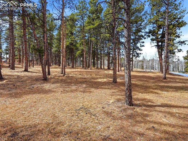 1305 Stone Ridge Drive, Woodland Park, CO 80863