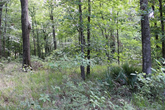 109 LAKEVIEW TRAIL, Mabank, TX 75147