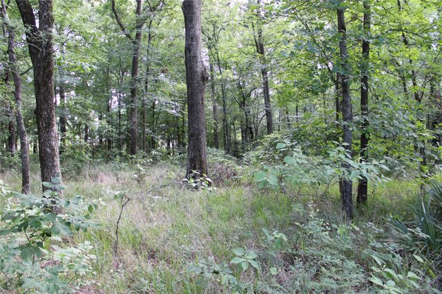 109 LAKEVIEW TRAIL, Mabank, TX 75147