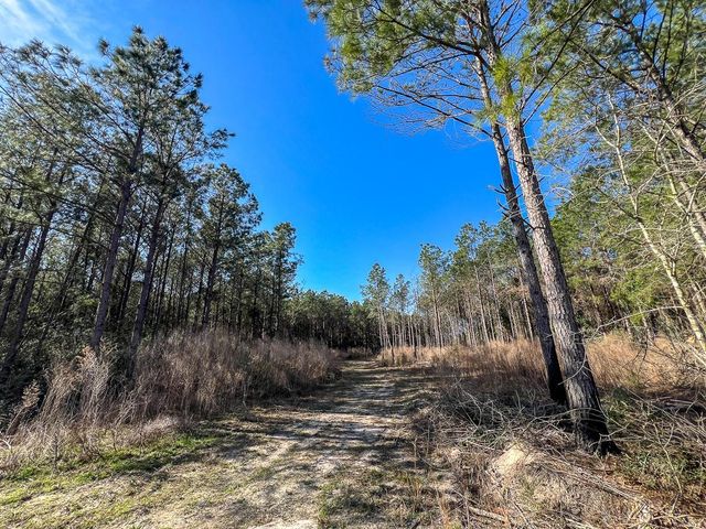 1 Off Fm 247, Huntsville, TX 77340