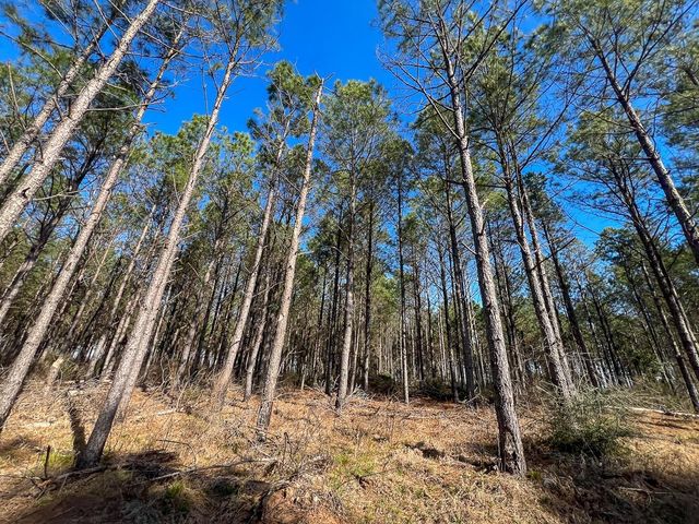 1 Off Fm 247, Huntsville, TX 77340