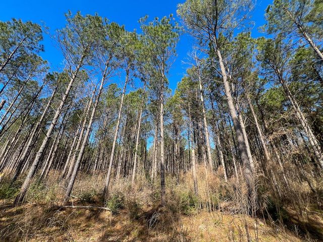 1 Off Fm 247, Huntsville, TX 77340