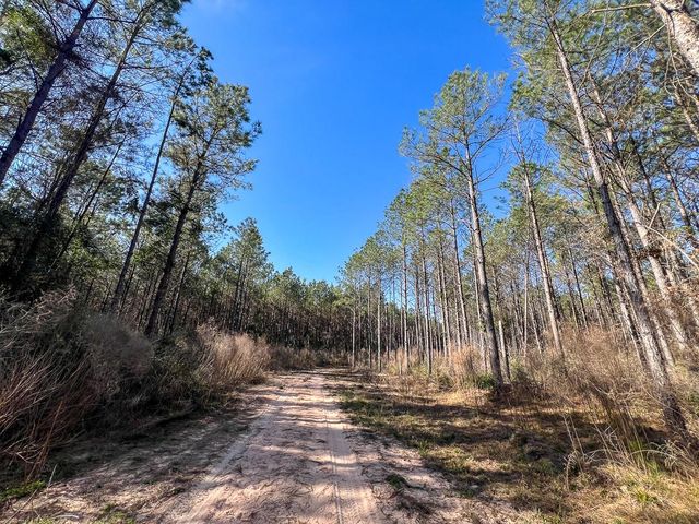 1 Off Fm 247, Huntsville, TX 77340