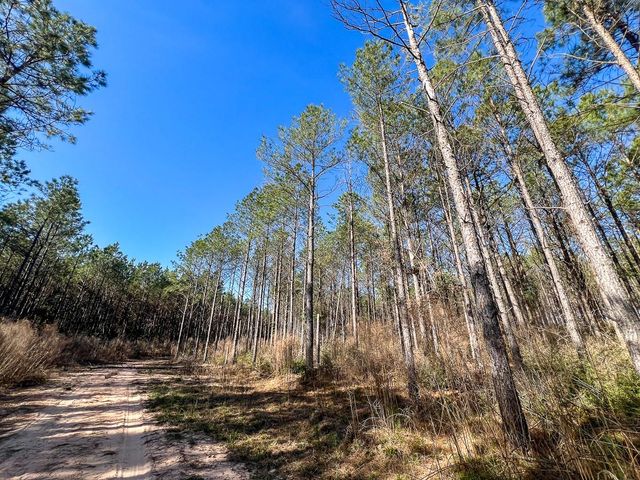 1 Off Fm 247, Huntsville, TX 77340