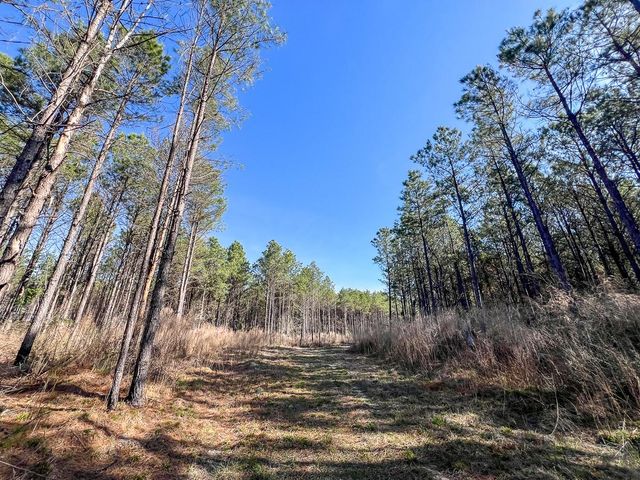 1 Off Fm 247, Huntsville, TX 77340