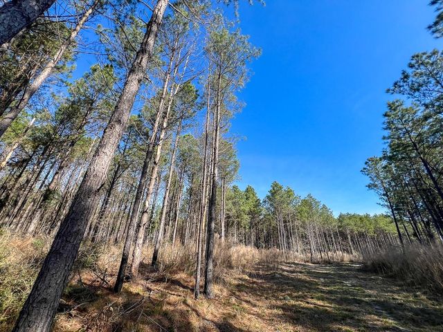 1 Off Fm 247, Huntsville, TX 77340