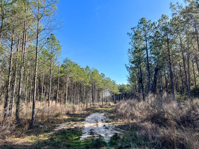 1 Off Fm 247, Huntsville, TX 77340