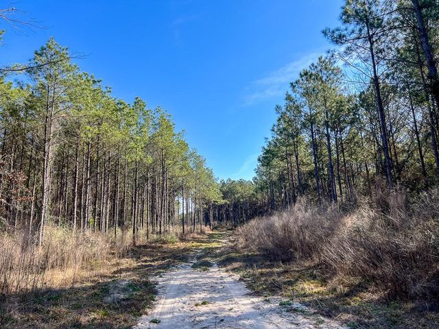 1 Off Fm 247, Huntsville, TX 77340