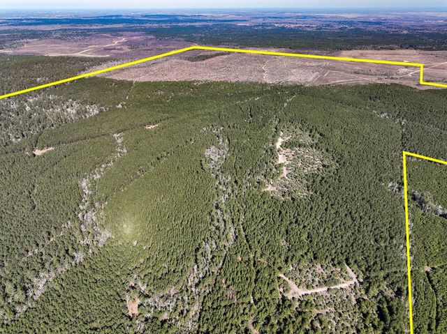 1 Off Fm 247, Huntsville, TX 77340