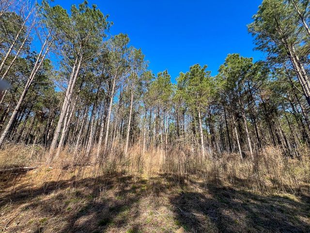 1 Off Fm 247, Huntsville, TX 77340