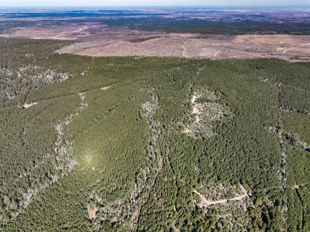 1 Off Fm 247, Huntsville, TX 77340