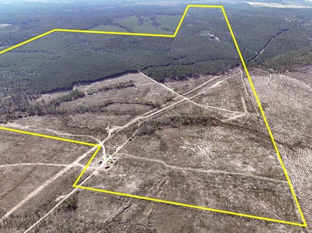 1 Off Fm 247, Huntsville, TX 77340