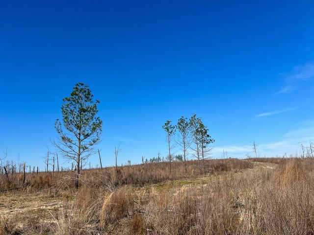 1 Off Fm 247, Huntsville, TX 77340