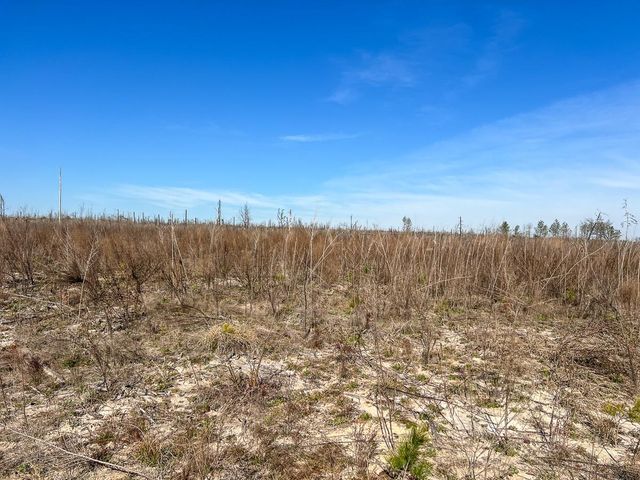 1 Off Fm 247, Huntsville, TX 77340