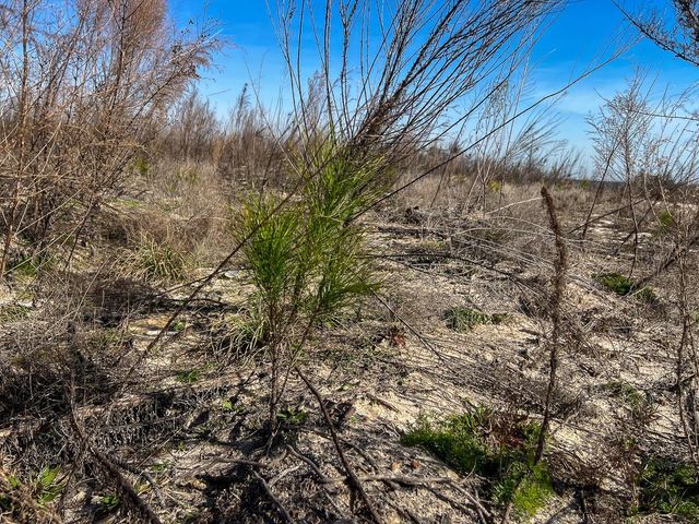 1 Off Fm 247, Huntsville, TX 77340