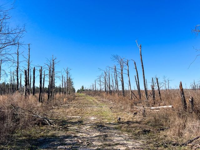 1 Off Fm 247, Huntsville, TX 77340